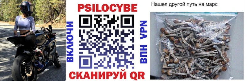 shop наркотические препараты  Котельники  Галлюциногенные грибы ЛСД 