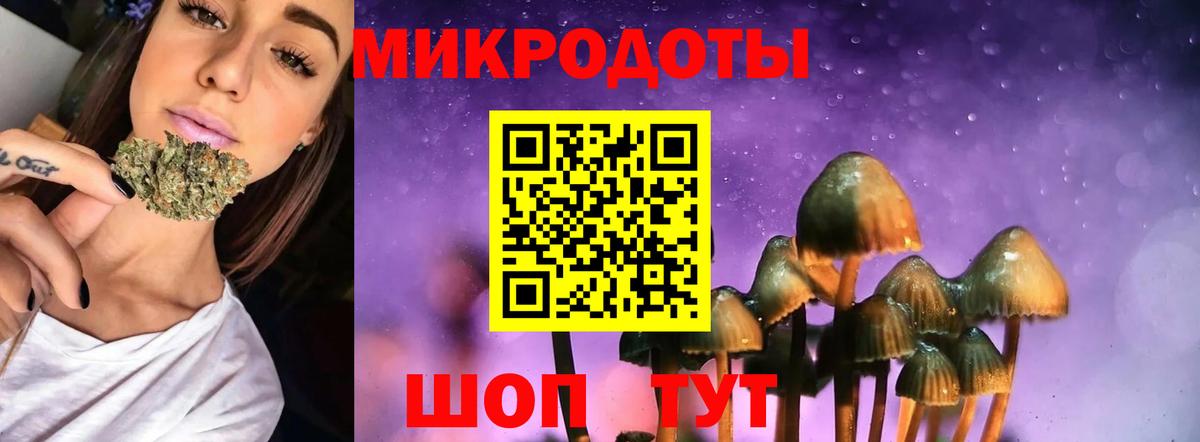 Псилоцибиновые грибы MAGIC MUSHROOMS Котельники